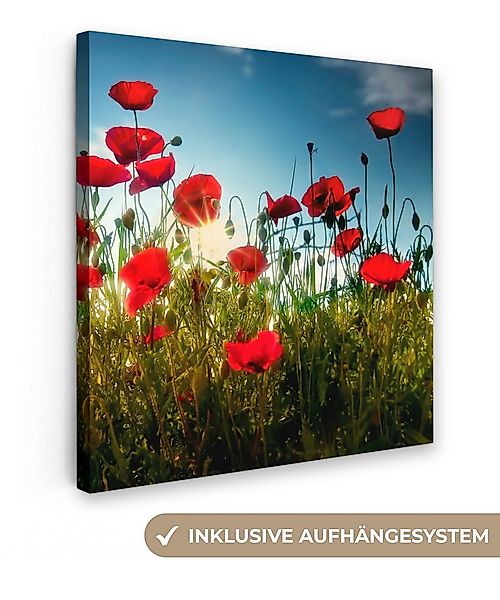 OneMillionCanvasses® Leinwandbild Mohnblumen - Toskana - Sonne - Rot - Blau günstig online kaufen