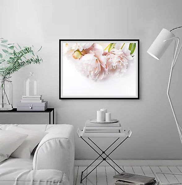 queence Bild »Maike«, Blumen, gerahmt, Rosen günstig online kaufen