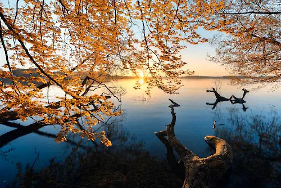 Papermoon Fototapete »Photo-Art KELLER, HERBSTMORGEN« günstig online kaufen