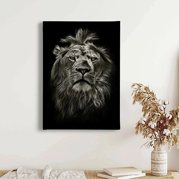 Bricoflor Leinwand Mit Löwe Schwarz Weißes Leinwandbild Mit Löwe Ideal Für günstig online kaufen