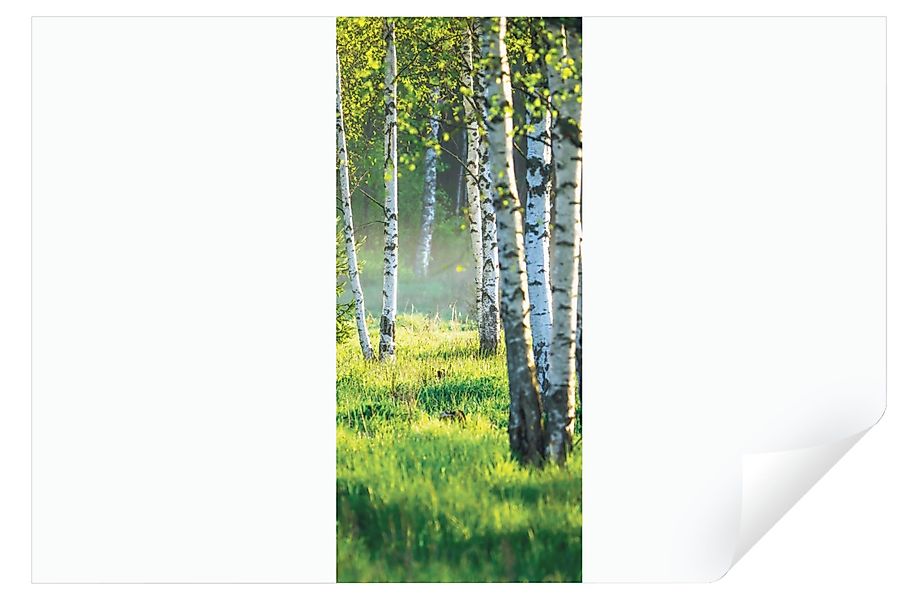 Wallarena Türtapete Selbstklebend Wald Birkenwald 3D günstig online kaufen