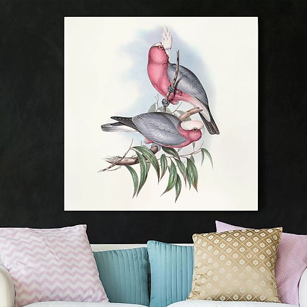 Leinwandbild Tiere - Quadrat Pastell Papageien II günstig online kaufen