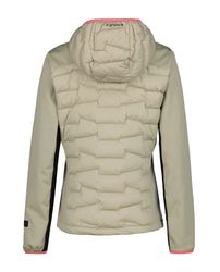 Icepeak Softshelljacke BURLISON (1-St) günstig online kaufen
