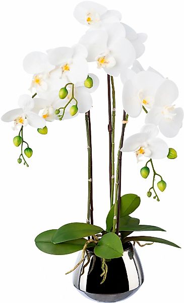 Kunstorchidee Phalaenopsis im Silbertopf Orchidee Phalaenopsis, günstig online kaufen