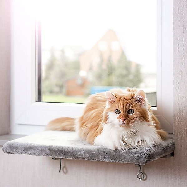 Canadian Cat Company Katzen-Hängematte Snuggly Place, günstig online kaufen
