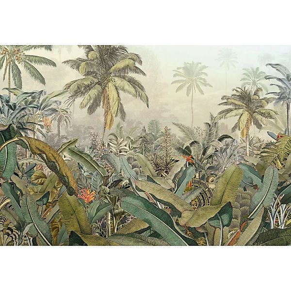 Komar Vliestapete »Vlies - Amazonia - Größe 368 x 248 cm«, bedruckt, Wohnzi günstig online kaufen