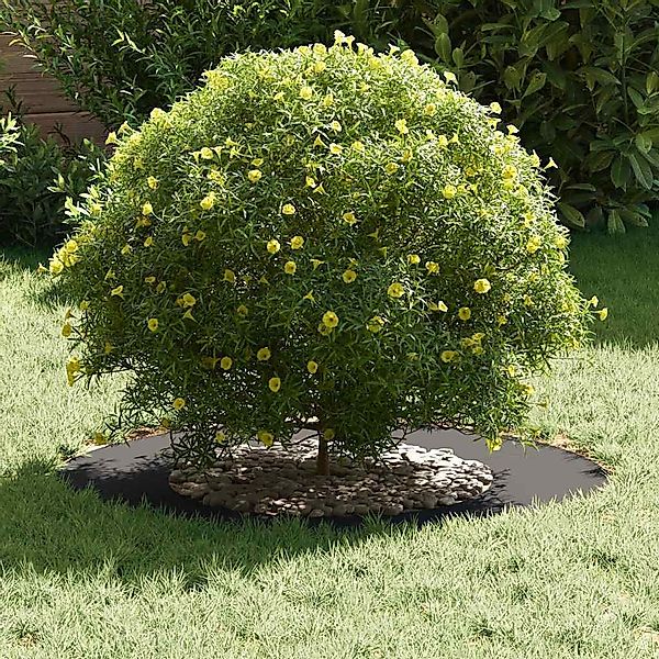 vidaXL Blumentopf Flacher Baumring Schwarz Ø40 günstig online kaufen