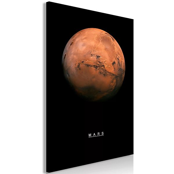 Wandbild - Mars (1 Part) Vertical günstig online kaufen