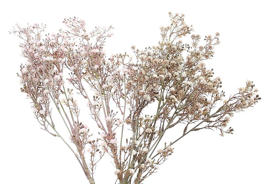 Kunstblume "Schleierkraut" mit Blüten in rosa günstig online kaufen