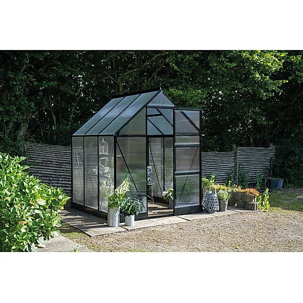 Halls Gewächshaus Icon 6 Schwarz 3,7 m² günstig online kaufen