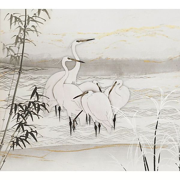 Erismann Fototapete Guido Maria Kretschmer Birds of Asia Weiß 3,0m x 2,7m günstig online kaufen