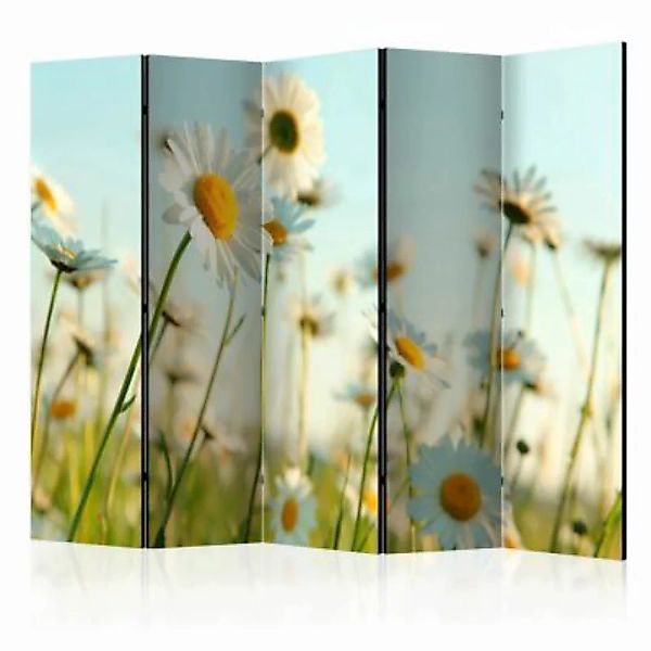 artgeist Paravent Daisies - spring meadow II [Room Dividers] gelb-kombi Gr. günstig online kaufen
