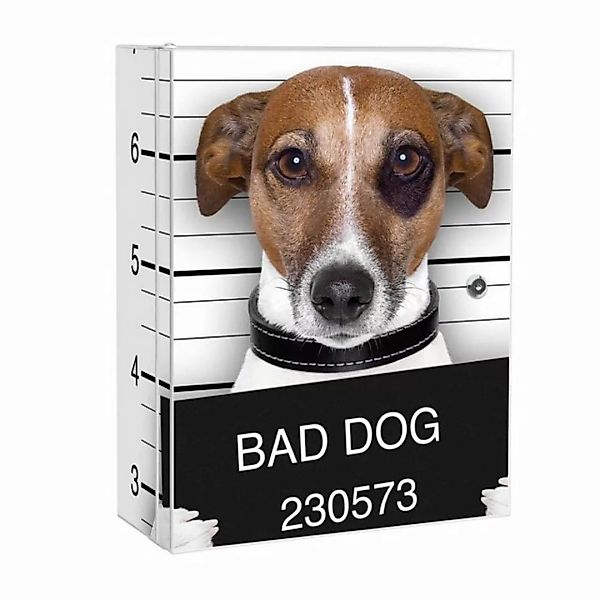 banjado Medizinschrank Stahl Bad Dog Jack Russel (abschließbar, 3 große und günstig online kaufen