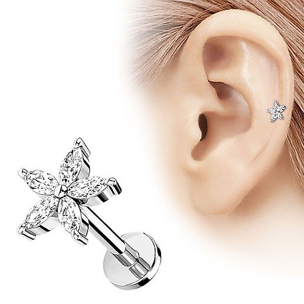 Taffstyle Piercing-Set Tragus Ohr Knorpel Helix günstig online kaufen