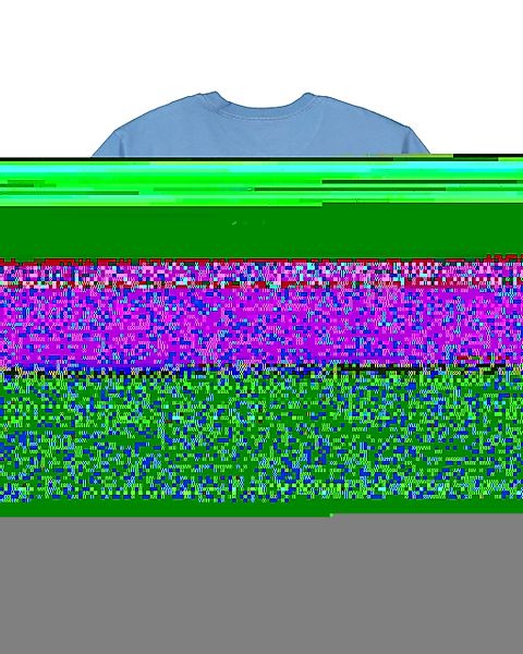 Quiksilver T-Shirt "Salt Water 2024" günstig online kaufen