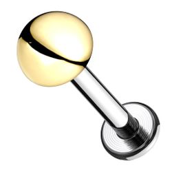 Taffstyle Piercing-Set Titan Tragus Labret Knorpel günstig online kaufen