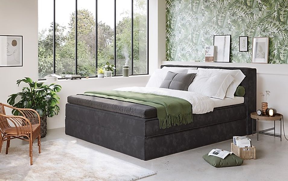 LeGer Home by Lena Gercke Boxspringbett »Addyson«, (Härtegrade H2, H3 und H günstig online kaufen
