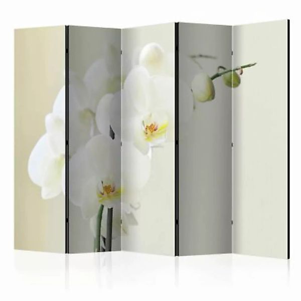 artgeist Paravent White orchid II [Room Dividers] mehrfarbig Gr. 225 x 172 günstig online kaufen