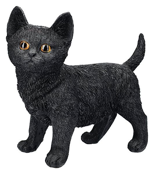 Figuren Shop GmbH Tierfigur Katzenfigur schwarz - Charmed Companion - schwa günstig online kaufen
