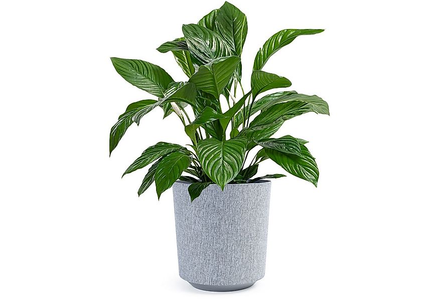 KONZEPT Blumentopf Pflanztopf in Textil-Optik (1 St), Übertöpfe aus Kunstst günstig online kaufen