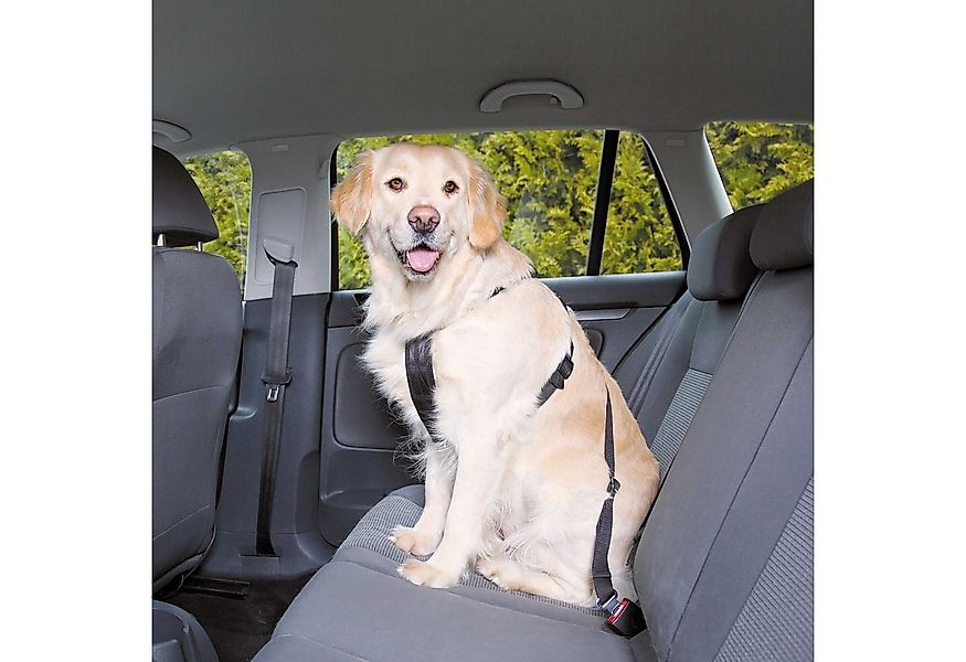 TRIXIE Hunde-Sicherheitsgeschirr DOGGURT Sicherheitsgurt fürs Auto für Hund günstig online kaufen