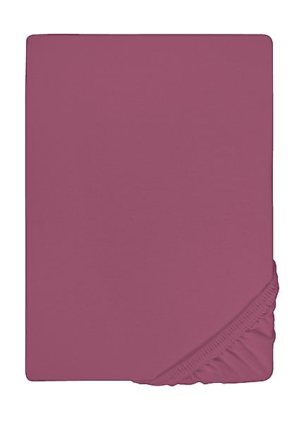 Castell - Markenbettwäsche Spannbettlaken Spannbetttuch Jersey-Stretch, günstig online kaufen