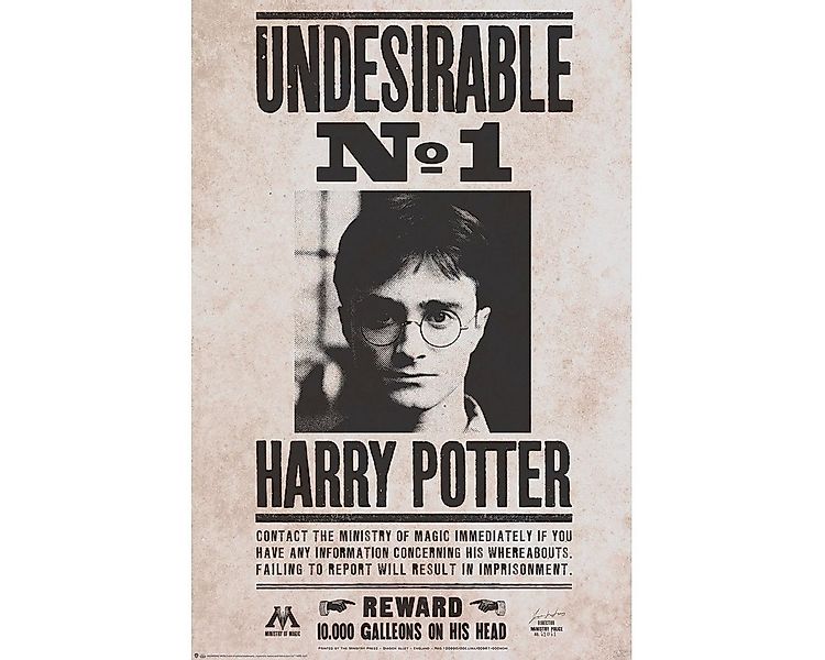 Harry Potter Poster günstig online kaufen