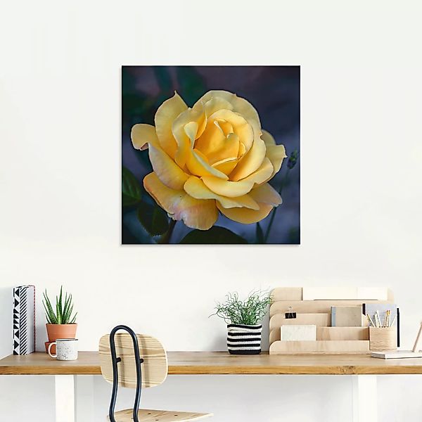 Artland Glasbild "Gelbe Rose", Blumen, (1 St.) günstig online kaufen