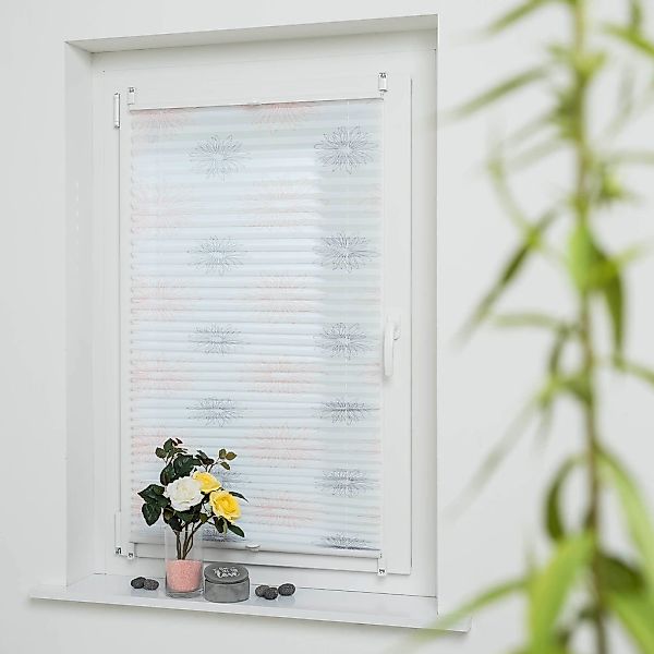 Liedeco Plissee "Blume grau" Lichtschutz ohne Bohren verspannt günstig online kaufen