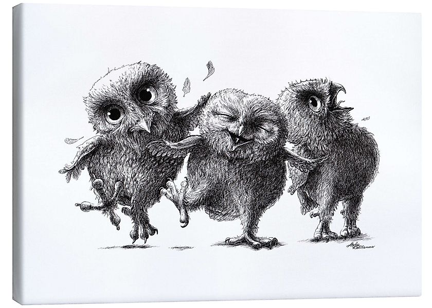 Posterlounge Wandbild Drei verrückte Eulen, Stefan günstig online kaufen