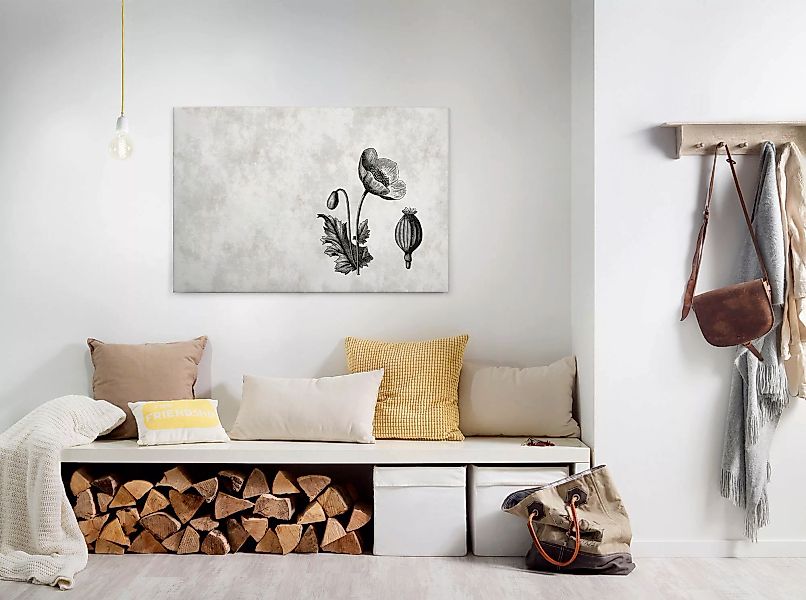 Bricoflor Botanik Leinwand Bild In Betonoptik Wandbild Mit Mohnblume Gezeic günstig online kaufen