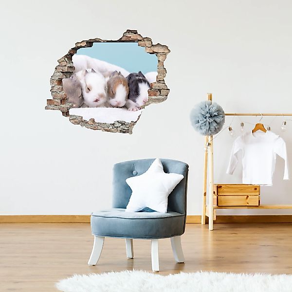 queence 3D-Wandtattoo "Hasenbabies" Selbstklebender Wandsticker Ostern Wand günstig online kaufen