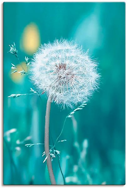 Artland Wandbild "Pusteblume", Blumen, (1 St.), als Leinwandbild, Poster, W günstig online kaufen