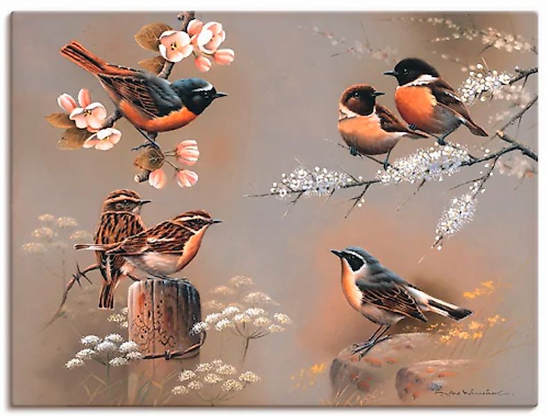 Artland Wandbild »Vogel Komposition« Vögel 1 Stk. tlg. als Leinwandbild, Po günstig online kaufen