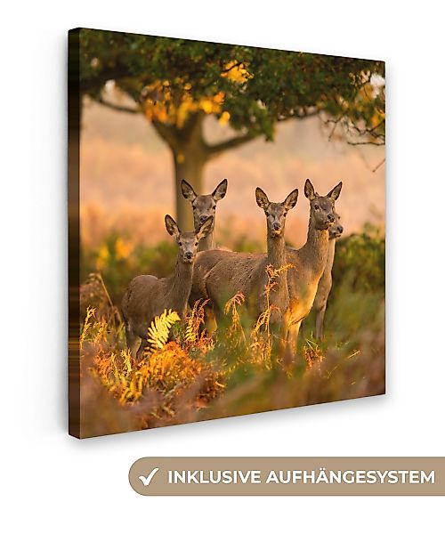 OneMillionCanvasses® Leinwandbild Herbst - Sonne - günstig online kaufen