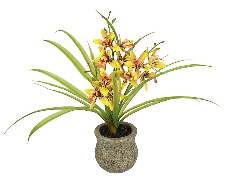 Kunstblume Kunstblume Schmetterling Orchidee mit Keramiktopf, günstig online kaufen