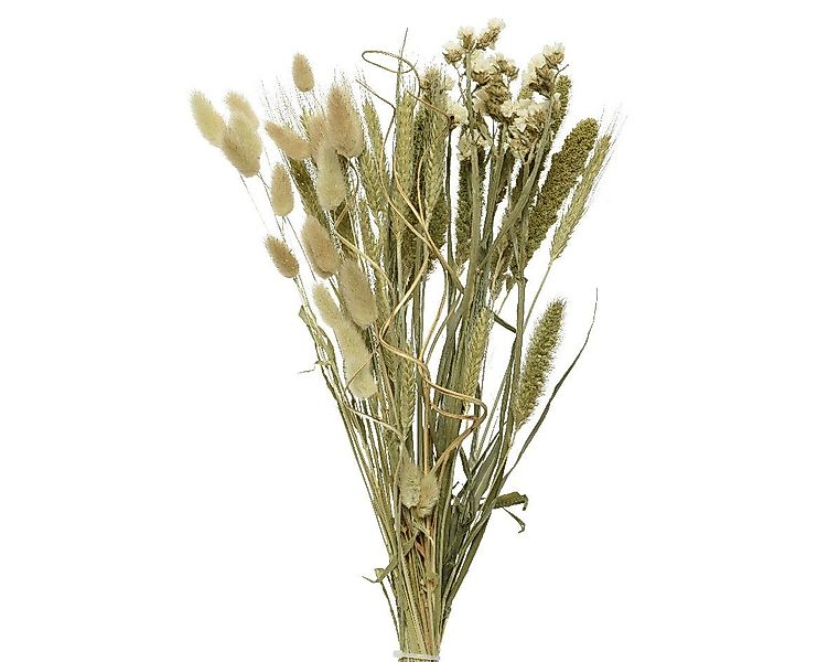 Trockenblume, Decoris season decorations, Trockenblumen Strauß günstig online kaufen