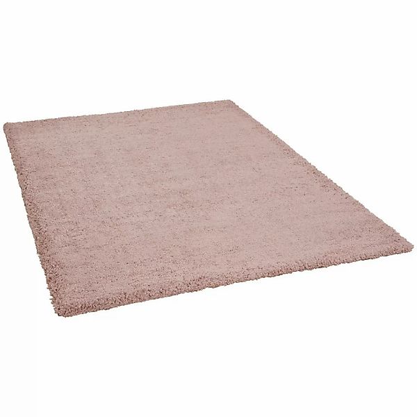 Hochflorteppich Pisa rosa B/L: ca. 120x170 cm günstig online kaufen