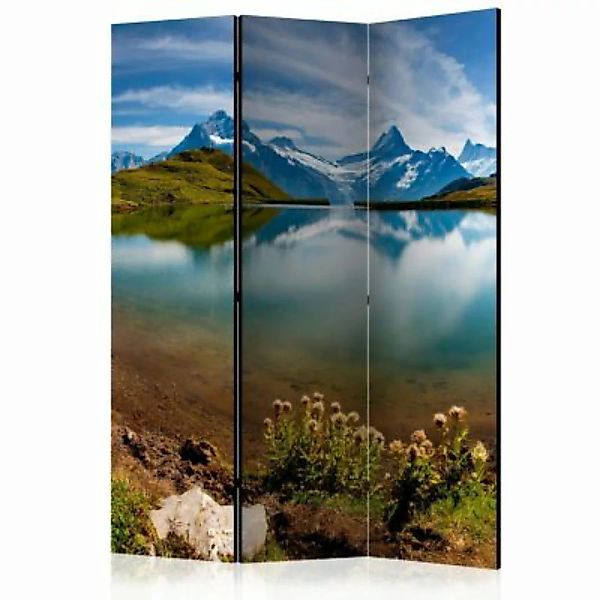 artgeist Paravent Lake with mountain reflection, Switzerland [Room Dividers günstig online kaufen