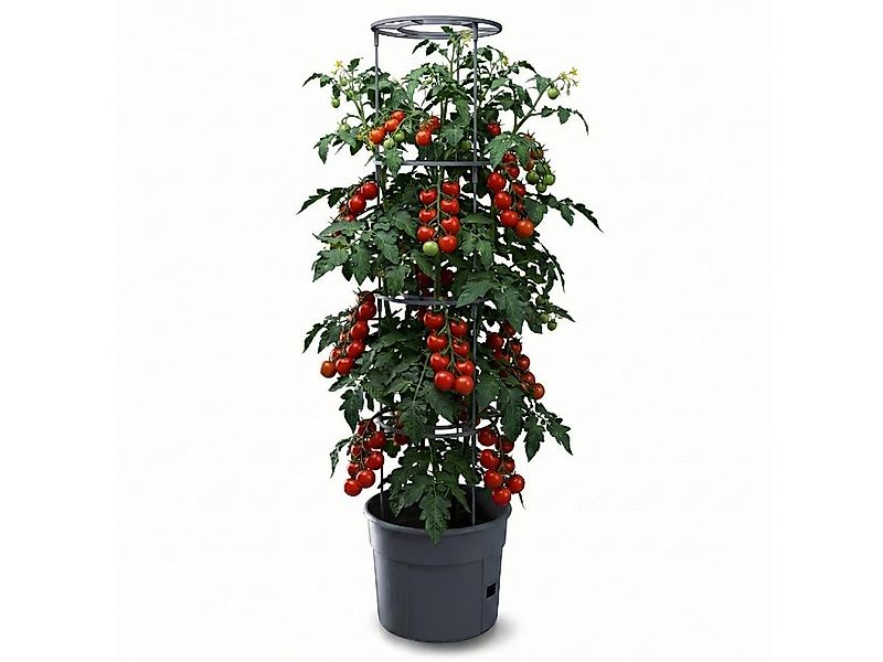 Prosperplast Anzuchttopf für Tomaten, Gemüse (29,5 cm), inkl. Rankhilfe, Ba günstig online kaufen