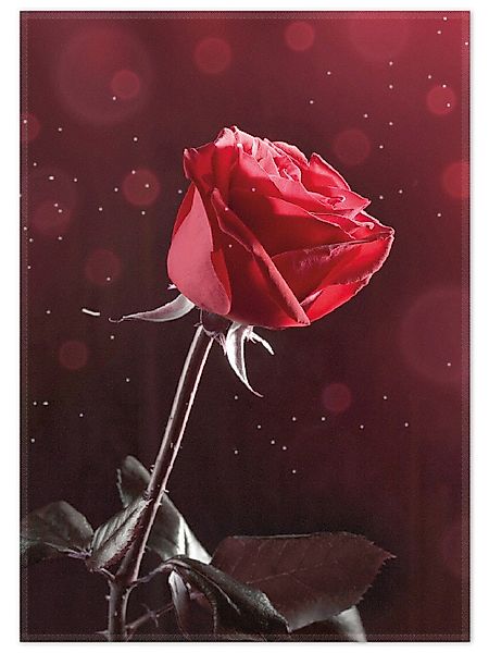Wallario Teppich Rote Rose Single, rechteckig, günstig online kaufen