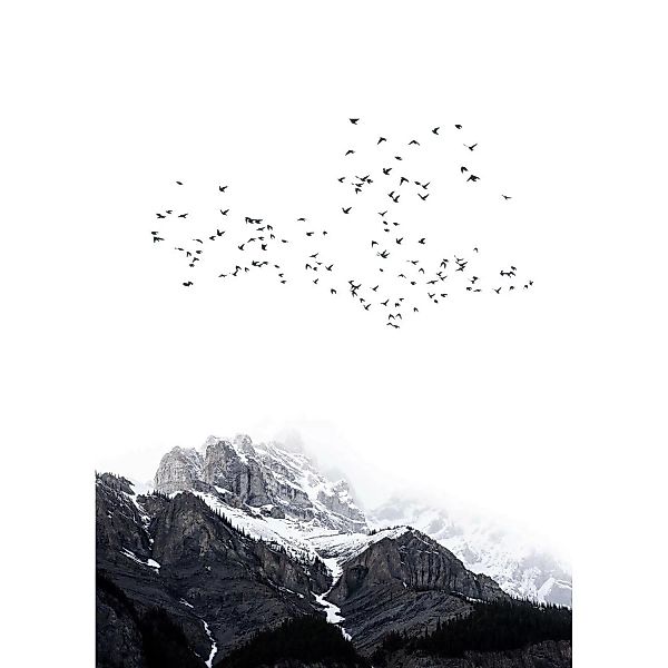 Fototapete Berge Vögel Schnee Nebel Schwarz Weiß Grau 2,00 m x 2,80 m FSC® günstig online kaufen