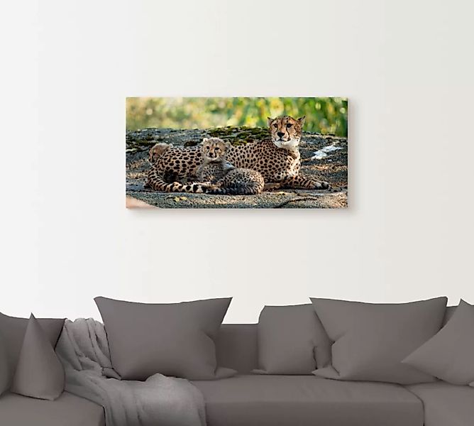 Artland Wandbild "Gepard 2", Wildtiere, (1 St.), als Leinwandbild, Poster, günstig online kaufen