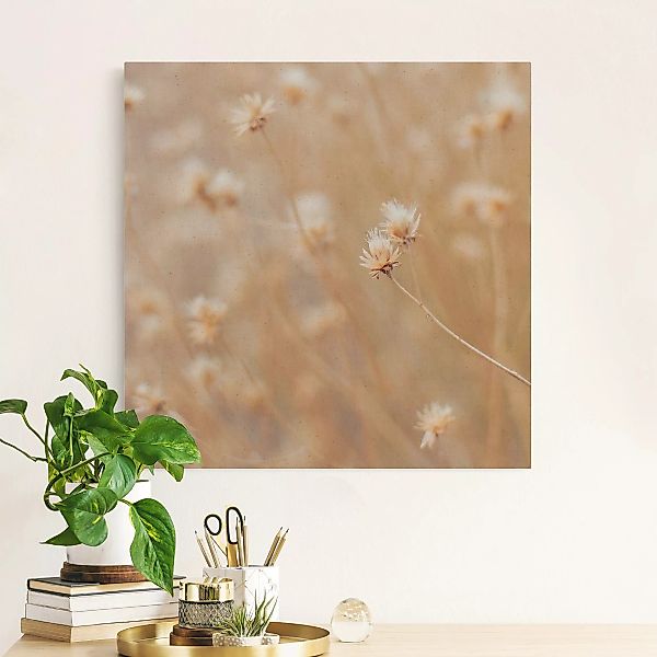 Leinwandbild auf Naturcanvas Zierliche Gräser günstig online kaufen
