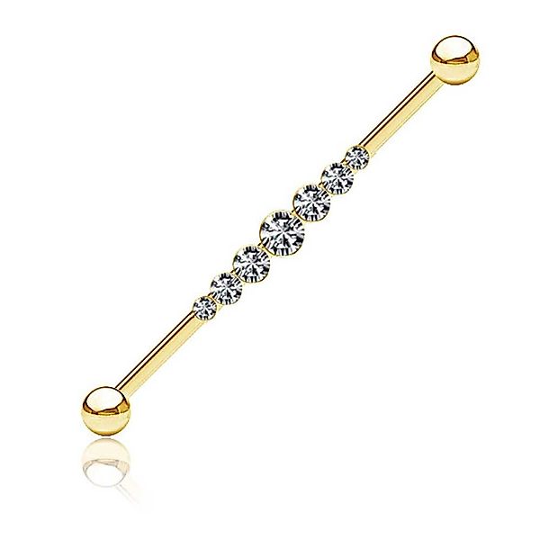 viva-adorno Piercing-Set Industrial Piercing Scaffold Ohr günstig online kaufen
