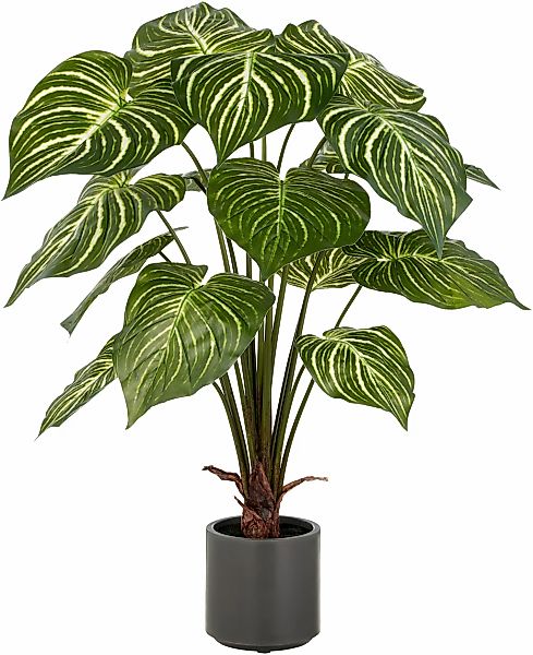 Creativ green Kunstpflanze "Philodendron Birkin" mit naturgetreuem Blattwer günstig online kaufen