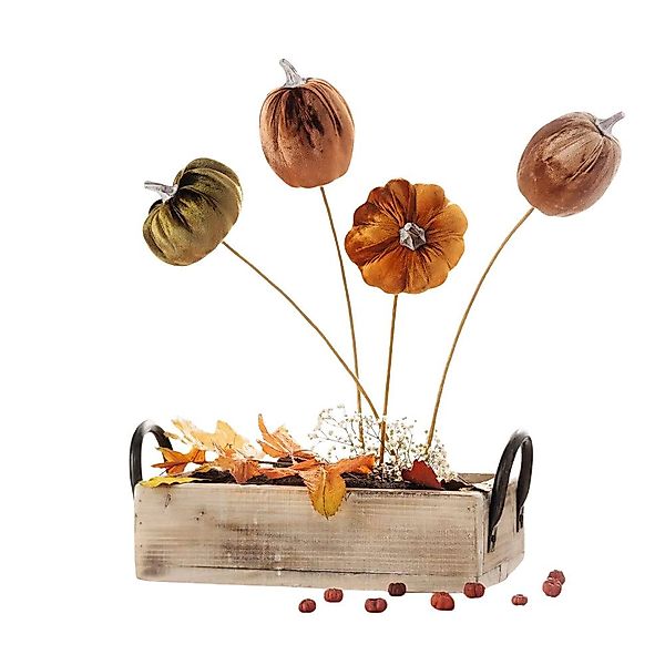 Home-trends24.de Dekofigur Kürbis Kürbisse Stecker Herbst günstig online kaufen