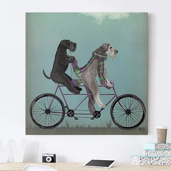 Leinwandbild - Quadrat Radtour - Schnauzer Tandem günstig online kaufen