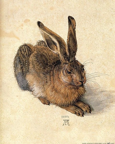 1art1 Poster Albrecht Dürer Kunstdruck Bild günstig online kaufen