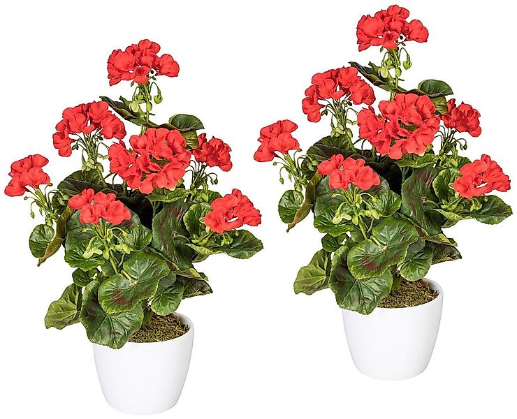 Kunstpflanze Geranienbusch rot, Creativ green, Höhe 40 cm, im Keramiktopf günstig online kaufen